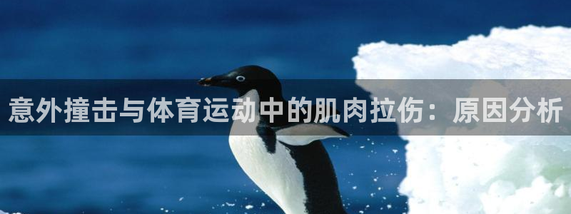 嗨王体育怎么打不开了：意外撞击与体育运动中的肌肉拉伤：原因分析